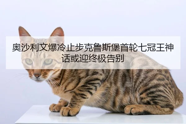 ao-sha-li-wen-bao-leng-zhi-bu-ke-lu-si-bao-shou-lun-qi-guan-wang-shen-hua-huo-ying-zhong-ji-gao-bie-2-948.jpg