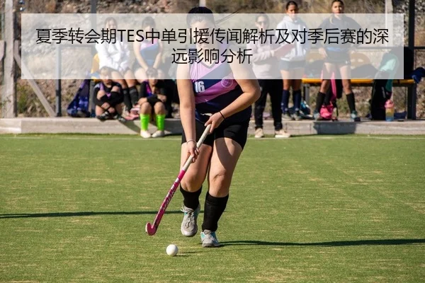 夏季转会期TES中单引援传闻解析及对季后赛的深远影响分析